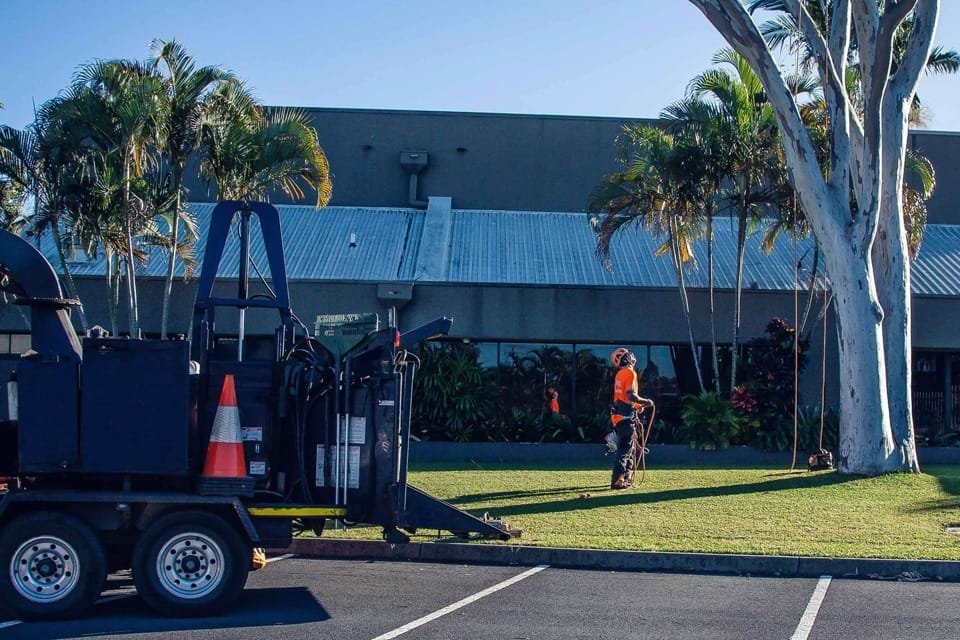 Arborist Services Redlands