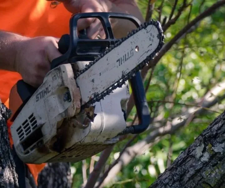 Hazardous tree removal Redlands