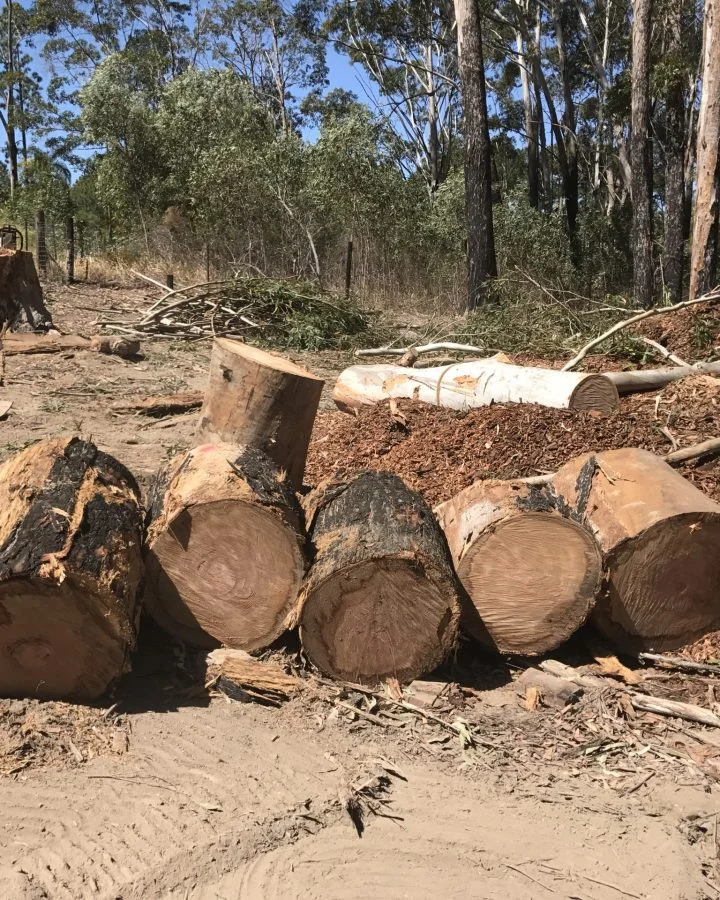 Land Clearing Redlands