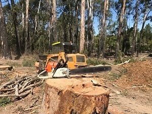 Stump Removal Redlands Qld.Jpg