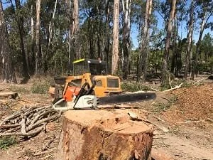 Why access is the biggest cost factor for backyard tree jobs in Capalaba Tree Lopping Redlands 1 Stump removal Redlands