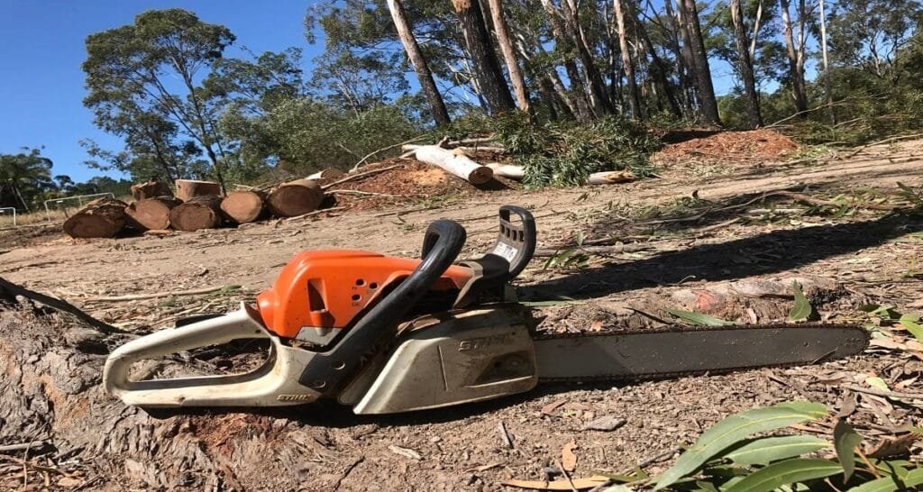 Tree Clearing Redlands