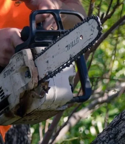 Tree care Redlands