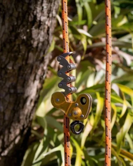 Tree lopping Redlands