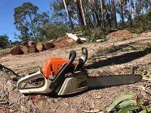 Tree removal Redlands