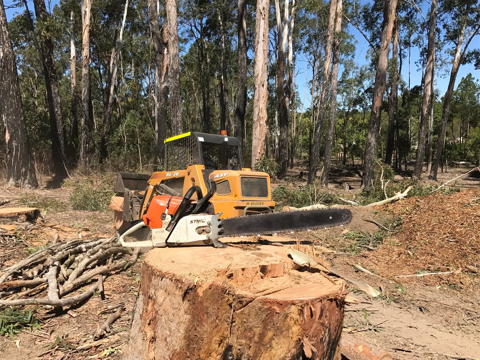 Stump Removal Redlands