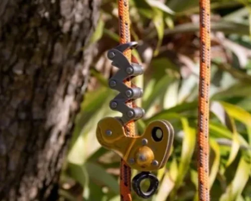 Tree lopping Redlands