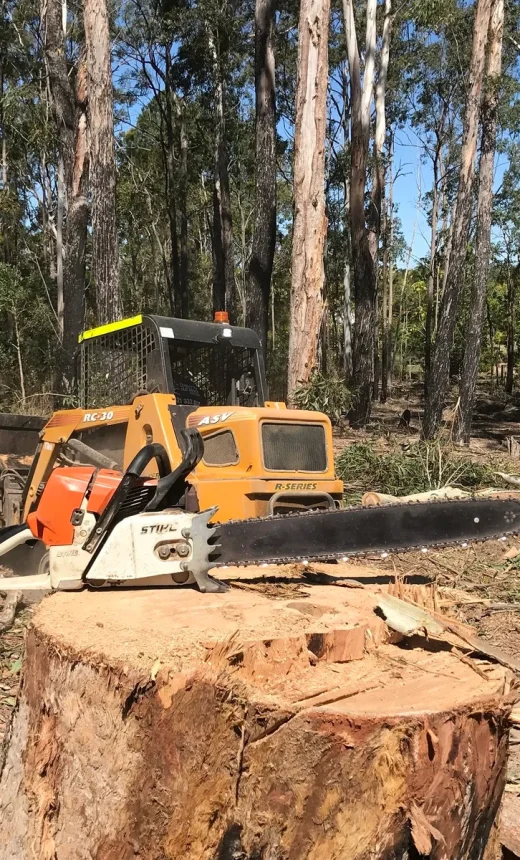 Stump Removal Redlands